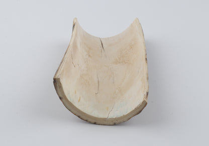 Green-beige mammoth bark