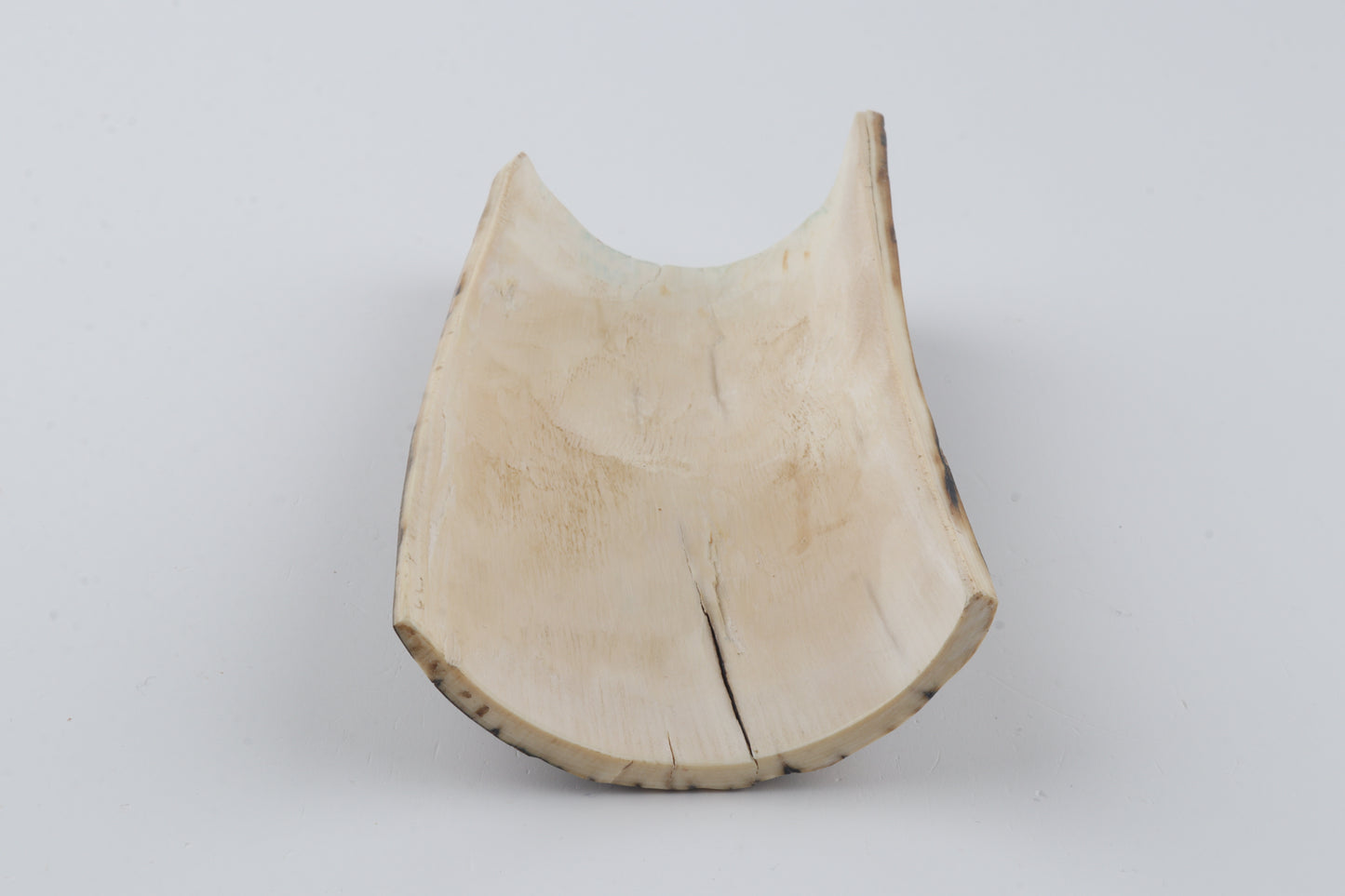 Green-beige mammoth bark