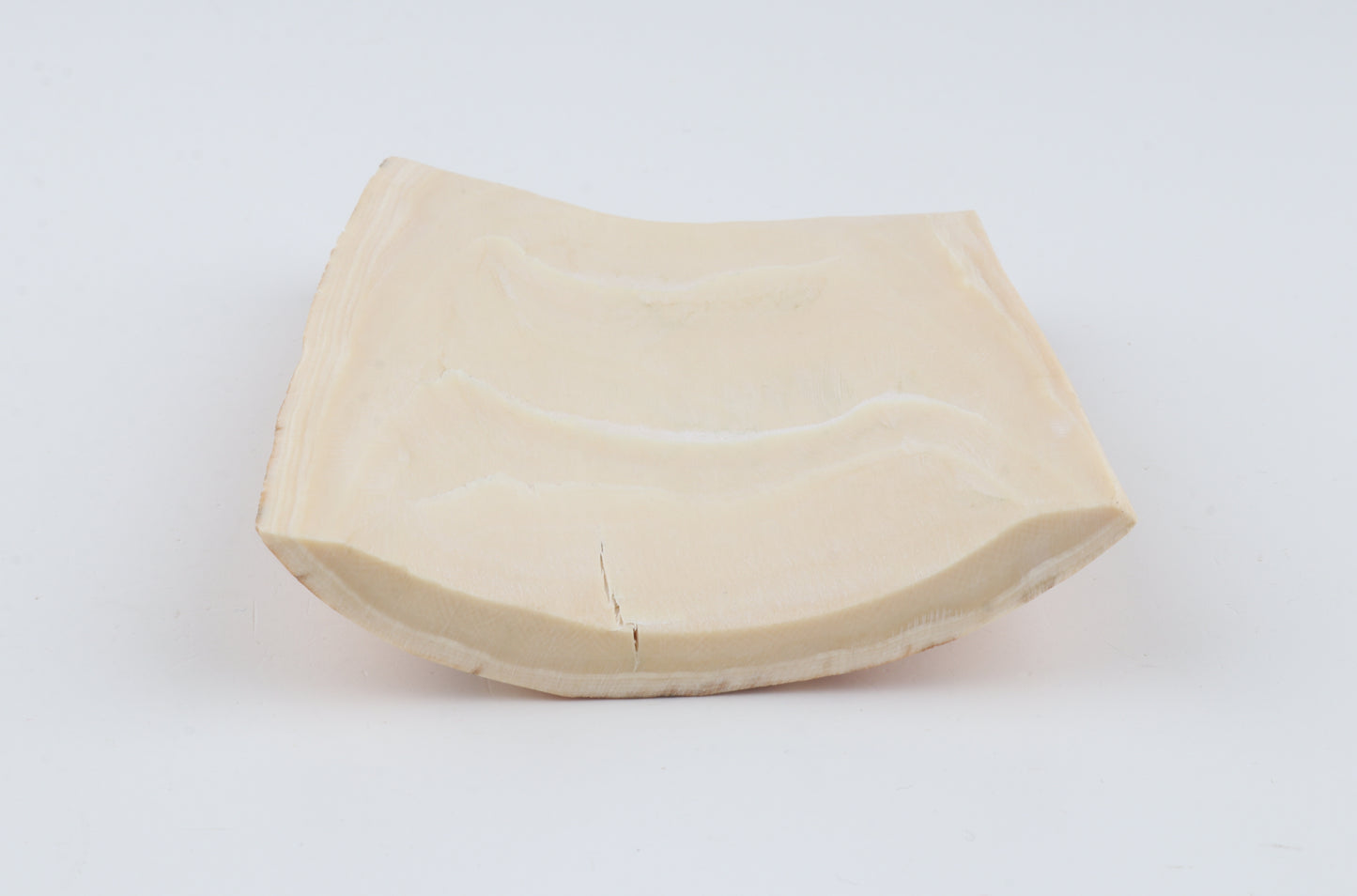 Creme-beige mammoth bark