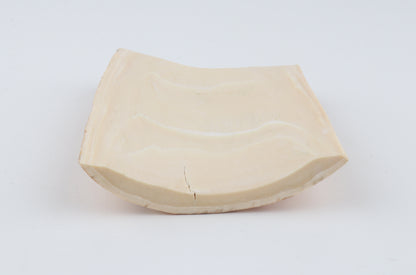 Creme-beige mammoth bark