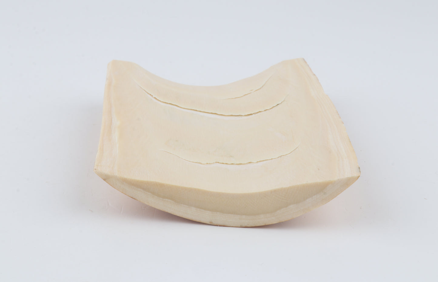 Creme-beige mammoth bark