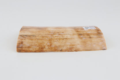 Creme-beige mammoth bark