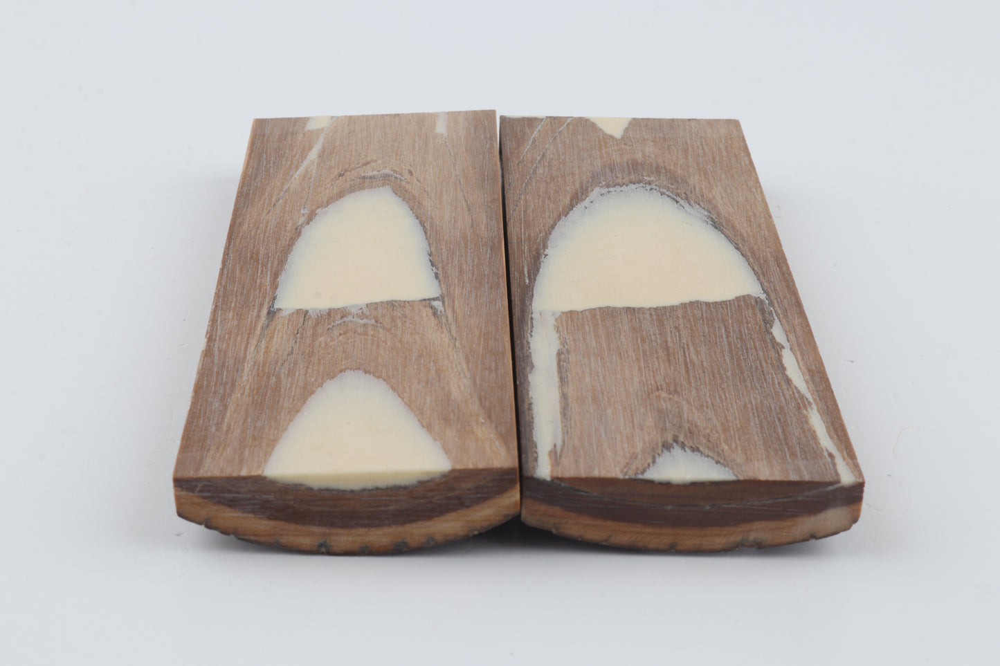 Stabilized mammoth bark scales