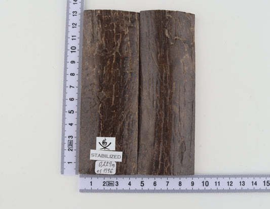 Stabilized mammoth bark scales