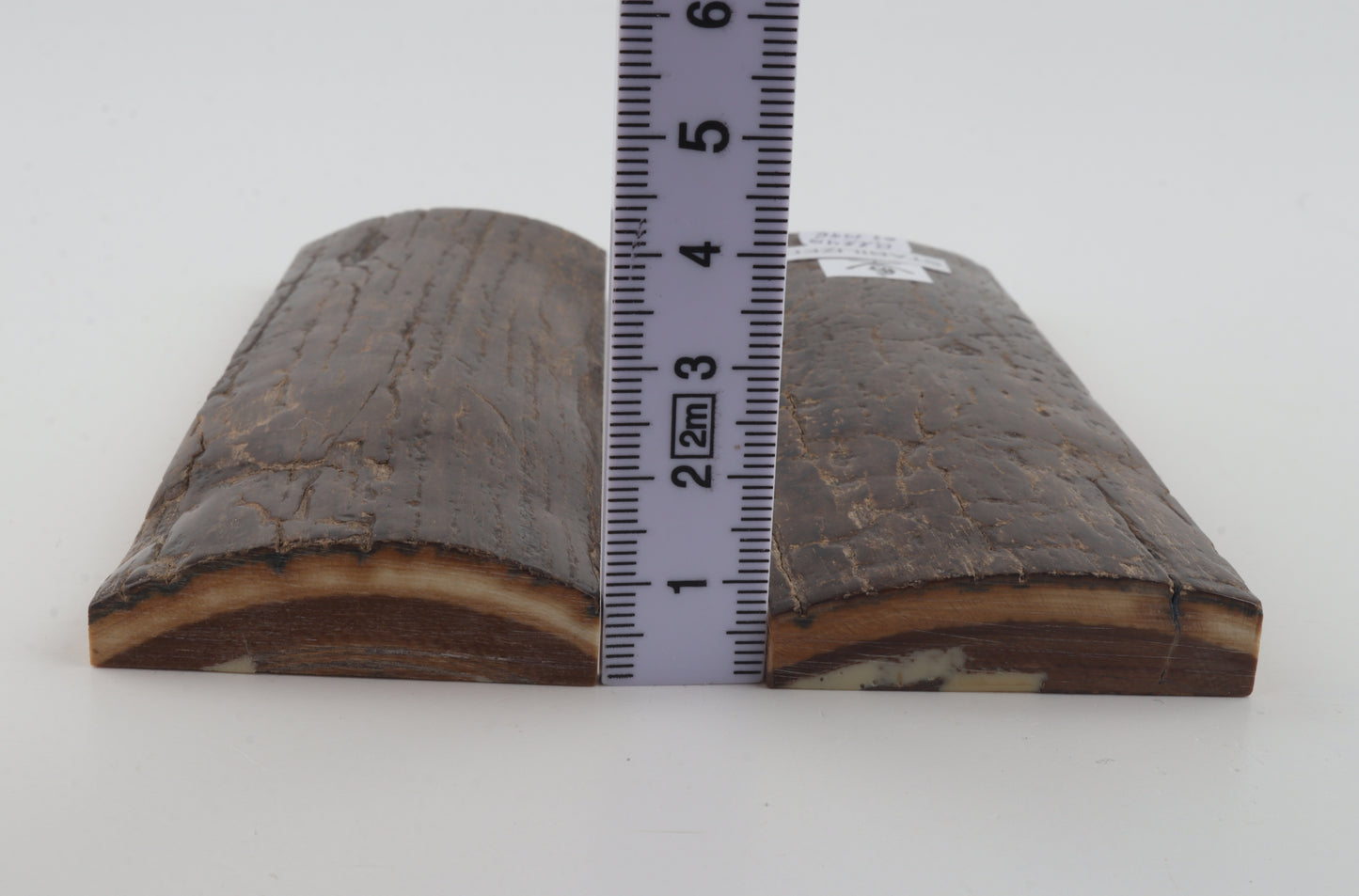 Stabilized mammoth bark scales