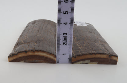 Stabilized mammoth bark scales
