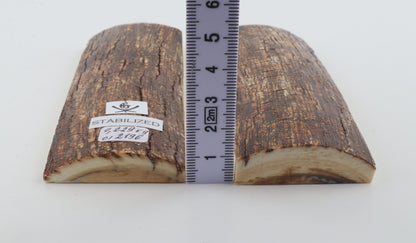 Stabilized mammoth bark scales