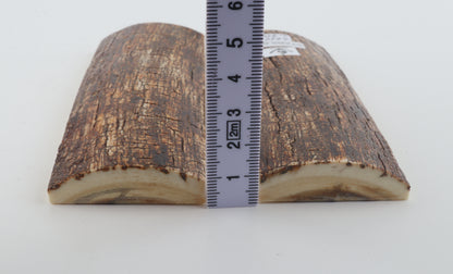 Stabilized mammoth bark scales