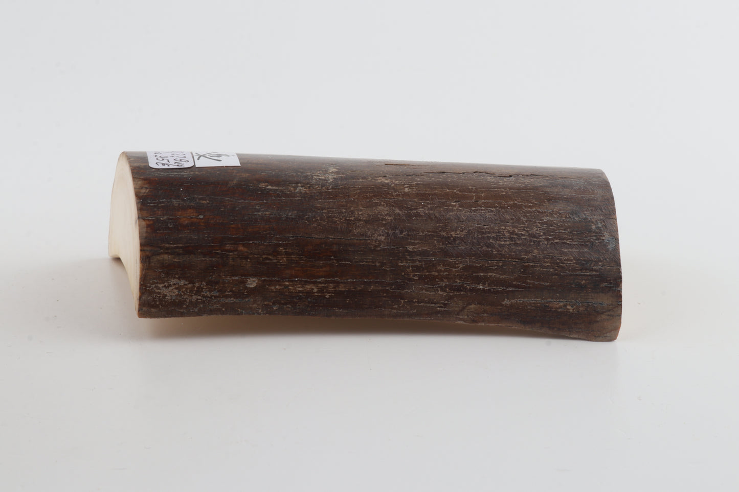 Natural mammoth ivory piece