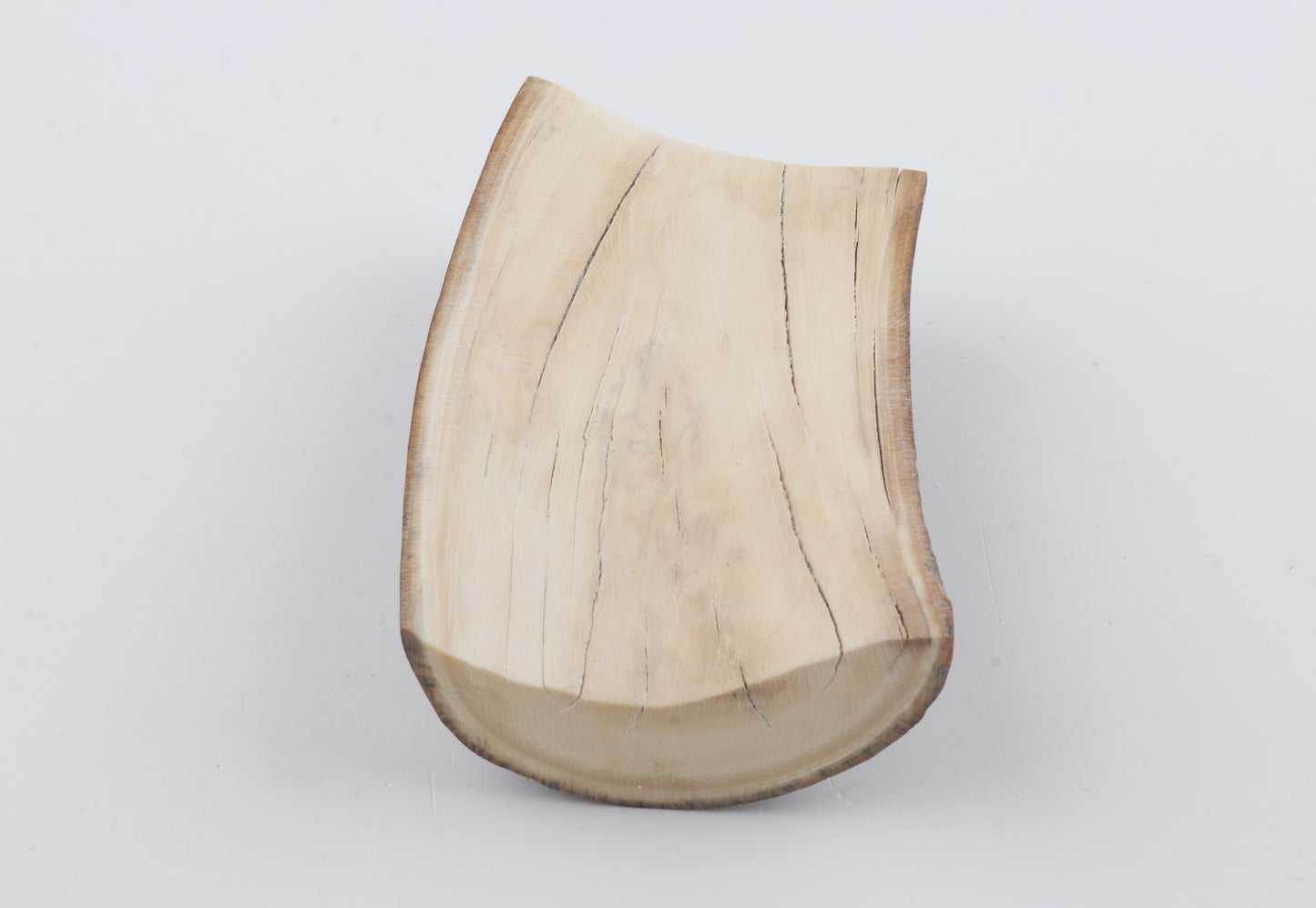 Natural mammoth ivory piece