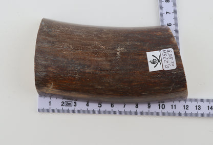 Natural mammoth ivory piece