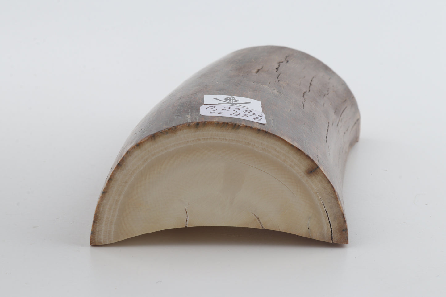 Natural mammoth ivory piece