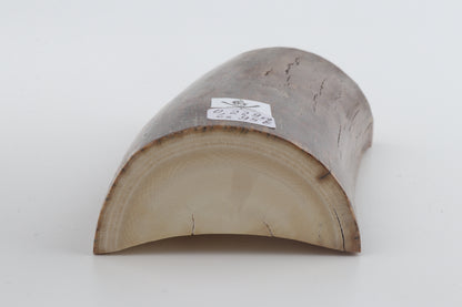 Natural mammoth ivory piece