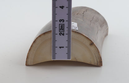 Natural mammoth ivory piece