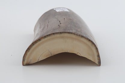 Natural mammoth ivory piece