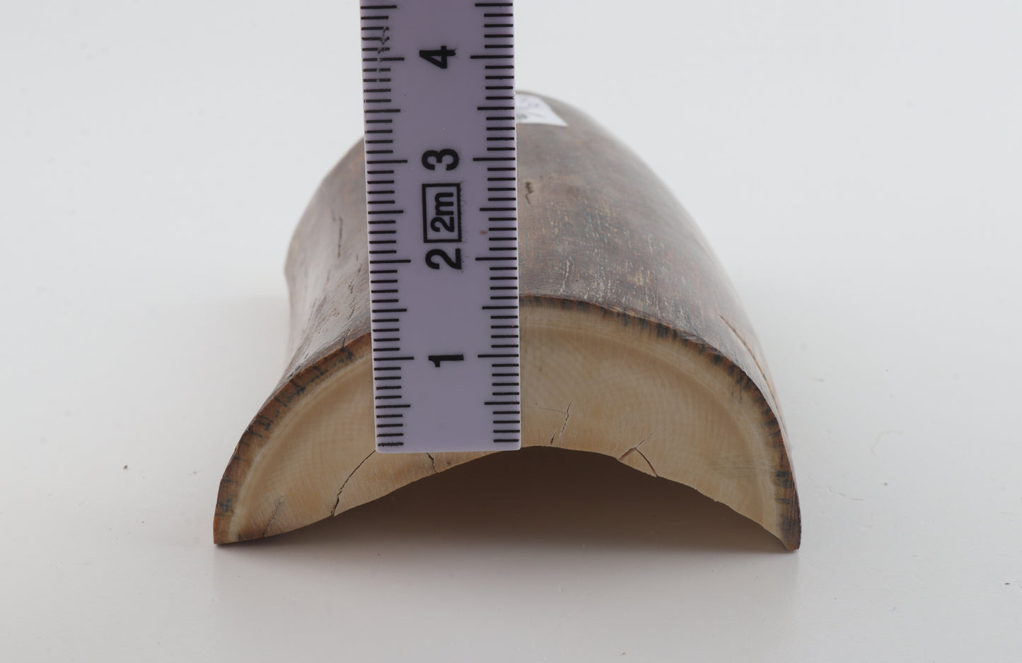 Natural mammoth ivory piece