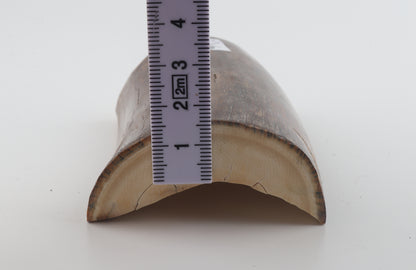 Natural mammoth ivory piece