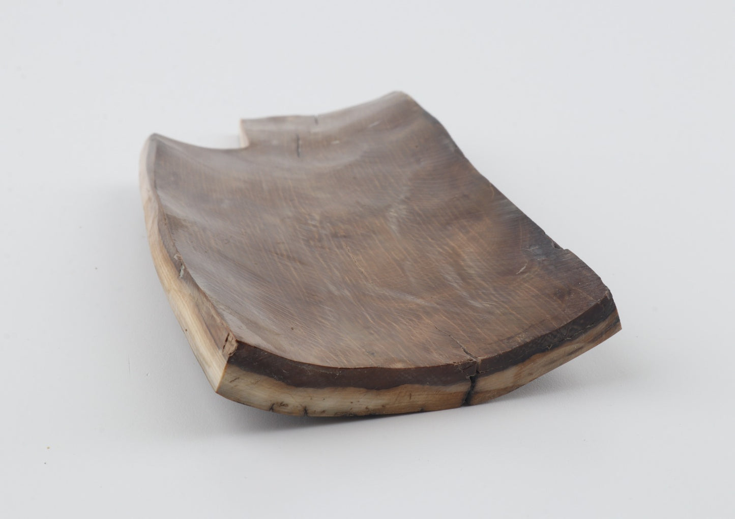 Brown-mustard mammoth bark