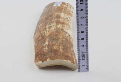 Natural woolly mammoth bark