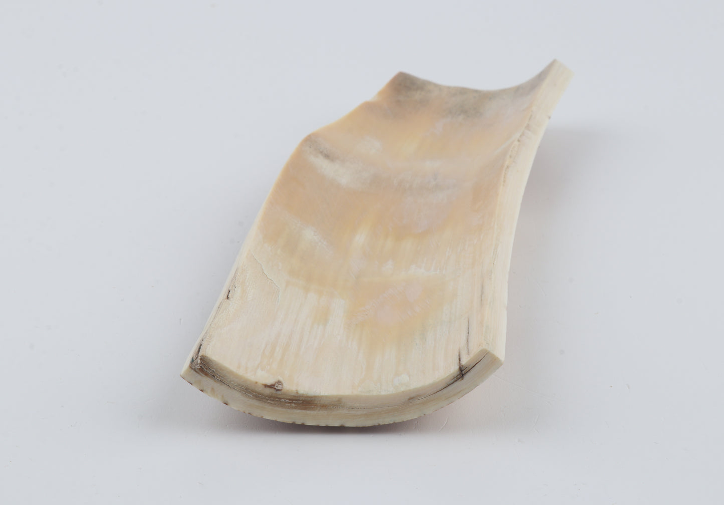 Natural woolly mammoth bark