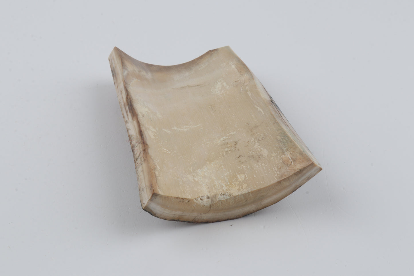 Beige-brown mammoth bark