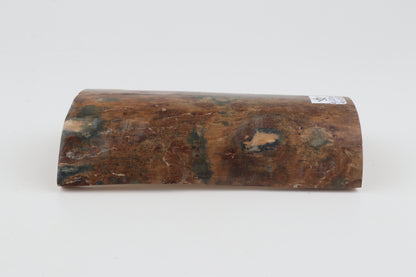 Beige-blue mammoth bark
