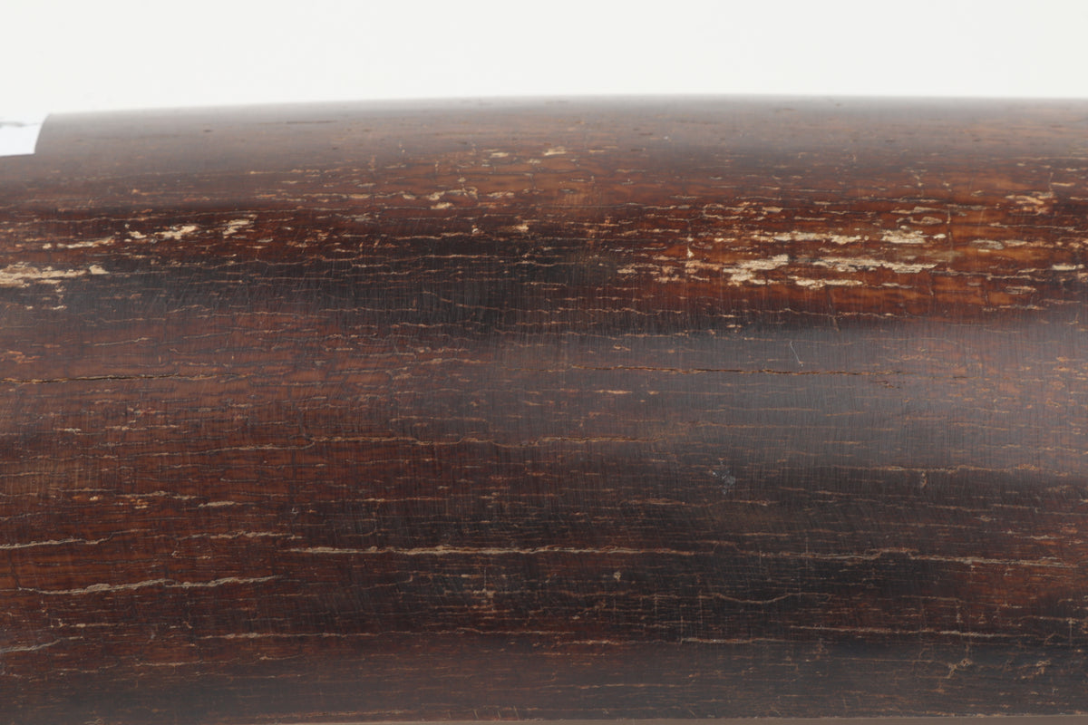 Brown mammoth bark