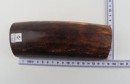 Brown mammoth bark