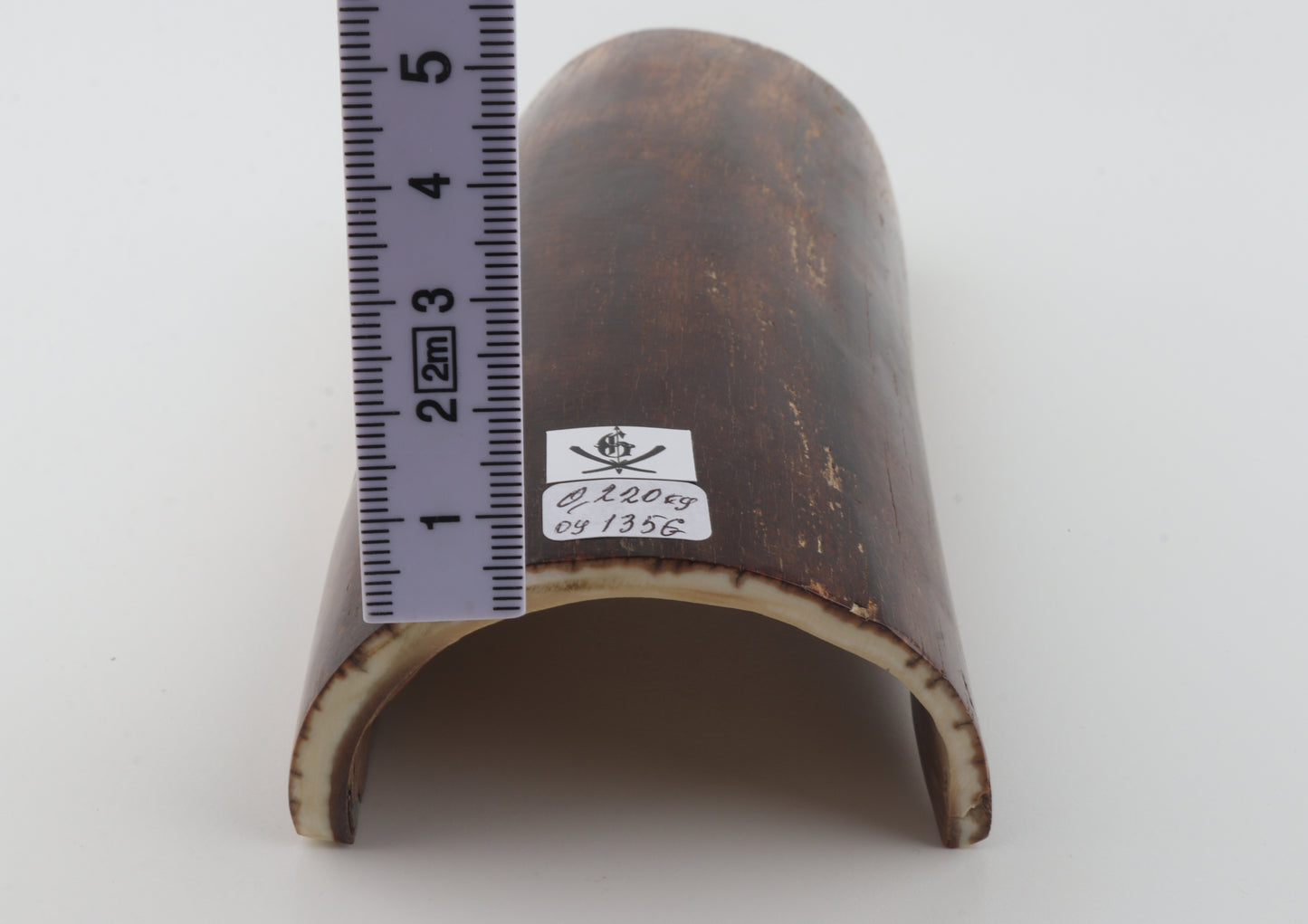 Brown mammoth bark