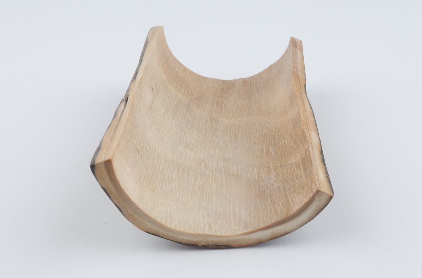 Beige-blue mammoth bark
