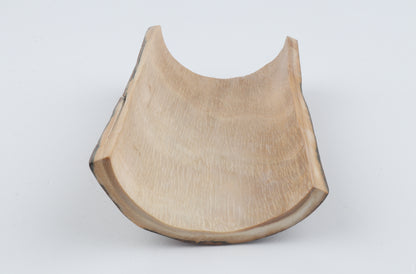 Beige-blue mammoth bark