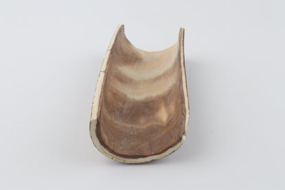 Brown mammoth bark