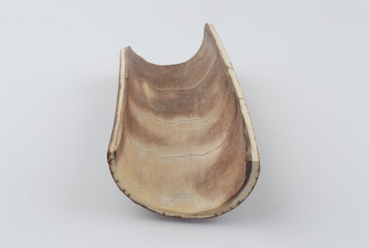Brown mammoth bark