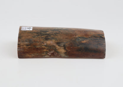 Beige-blue mammoth bark