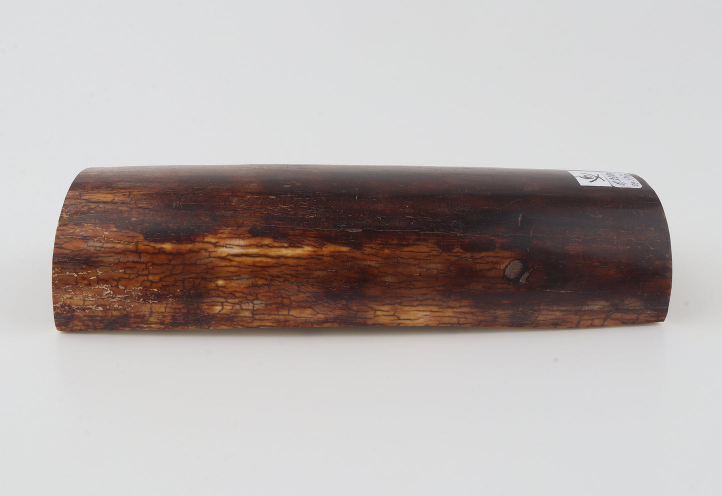 Brown mammoth bark