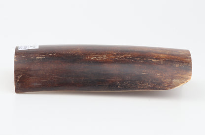 Brown mammoth bark