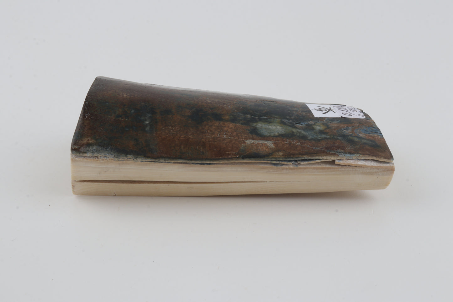 Brown-blue mammoth bark