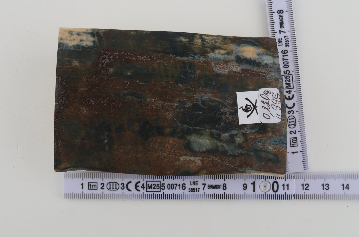 Brown-blue mammoth bark