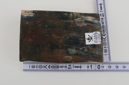 Brown-blue mammoth bark