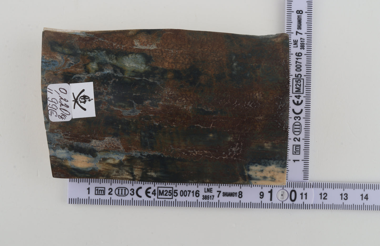 Brown-blue mammoth bark