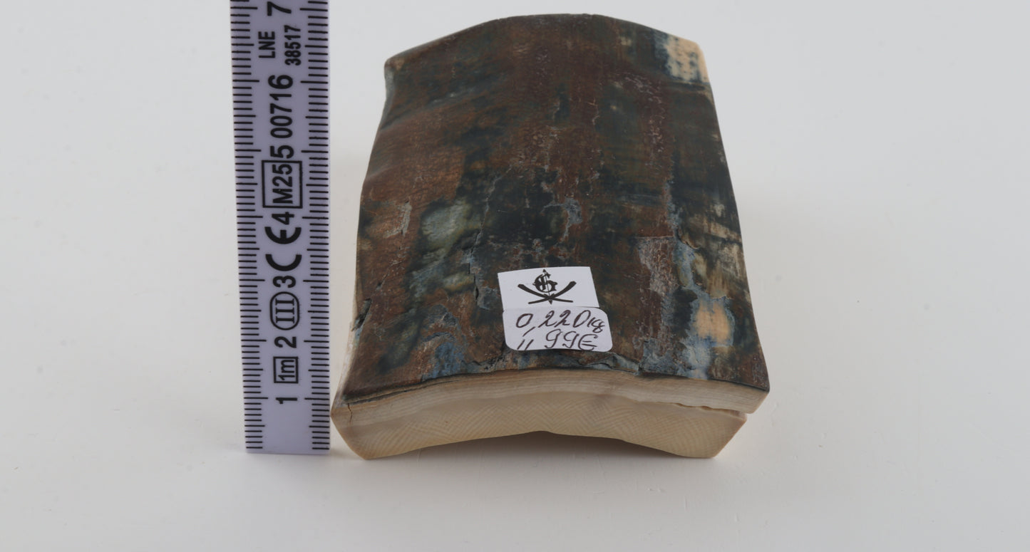 Brown-blue mammoth bark