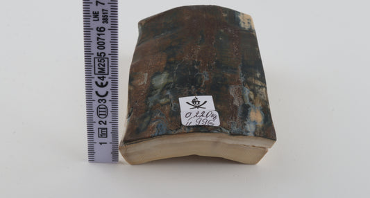 Brown-blue mammoth bark