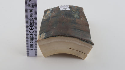 Brown-blue mammoth bark