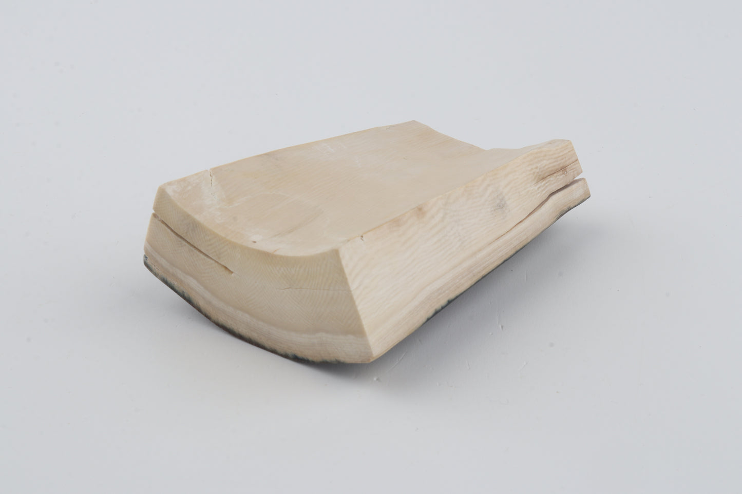 Brown-blue mammoth bark