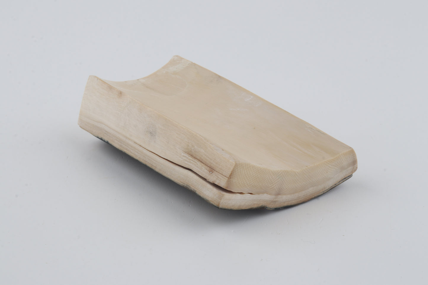 Brown-blue mammoth bark