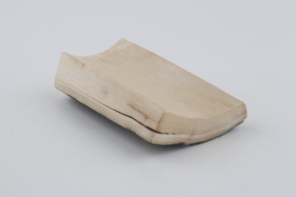 Brown-blue mammoth bark