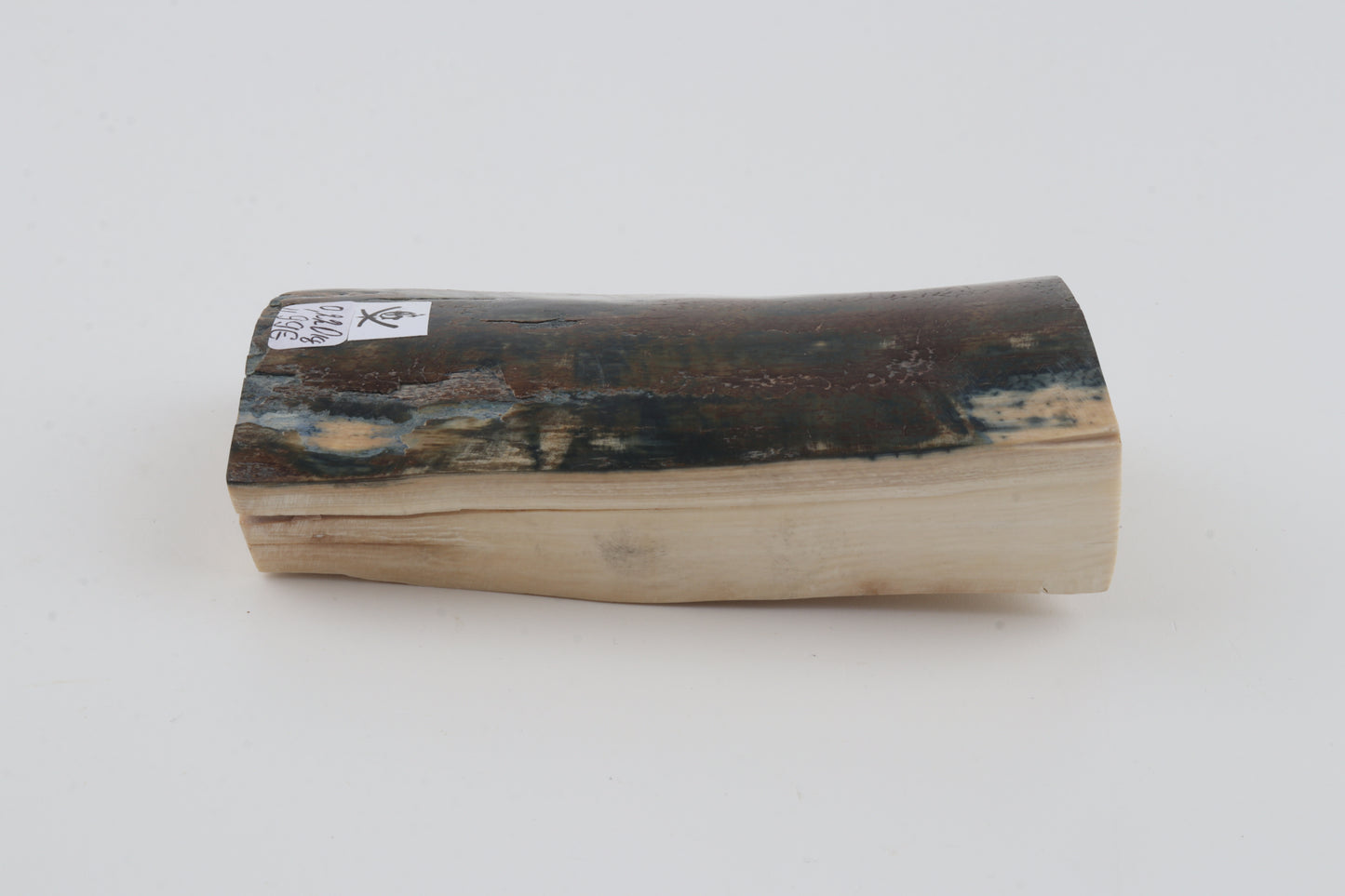 Brown-blue mammoth bark