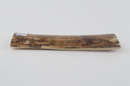 Beige mammoth bark