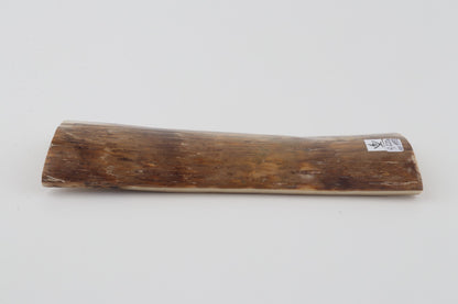 Beige mammoth bark