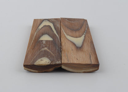 Stabilized mammoth bark scales